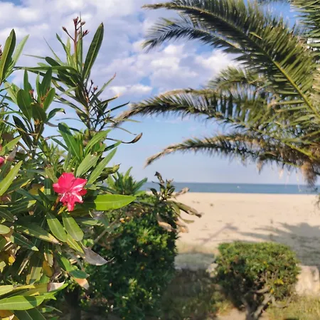 Le Pre Catalan - Piscine En Saison - En Bord De - Acces Animations - Commerce -plage * Argeles-sur-Mer