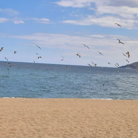Le Pre Catalan - Piscine En Saison - En Bord De - Acces Animations - Commerce -plage Lejlighed Argelès-sur-Mer