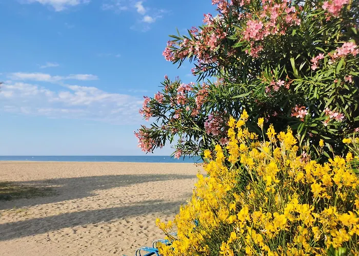 Апартаменты Le Pre Catalan - Piscine En Saison - En Bord De - Acces Animations - Commerce -plage Аржель-сюр-Мер