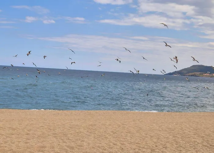Le Pre Catalan - Piscine En Saison - En Bord De - Acces Animations - Commerce -plage Апартаменты Аржель-сюр-Мер